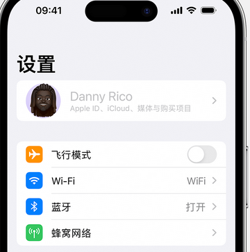 临川appleID维修服务iPhone设置中Apple ID显示为灰色无法使用 