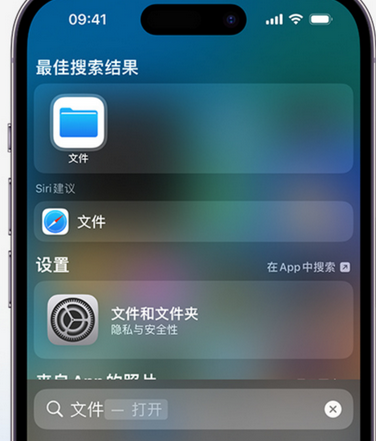 临川apple维修中心分享iPhone文件应用中存储和找到下载文件