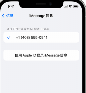 临川apple维修iPhone上无法正常发送iMessage信息 