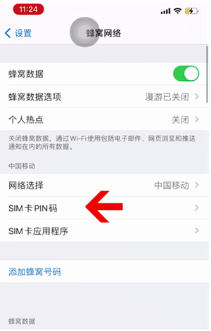 临川苹果14维修网分享如何给iPhone14的SIM卡设置密码 