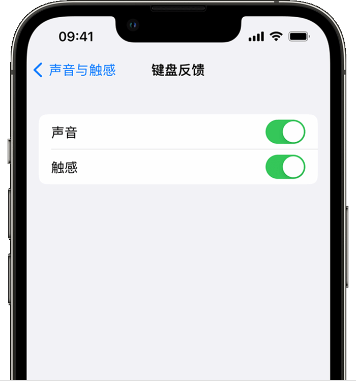 临川苹果14维修店分享如何在 iPhone 14 机型中使用触感键盘 