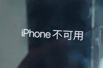 临川苹果服务网点分享锁屏界面显示“iPhone 不可用”如何解决 