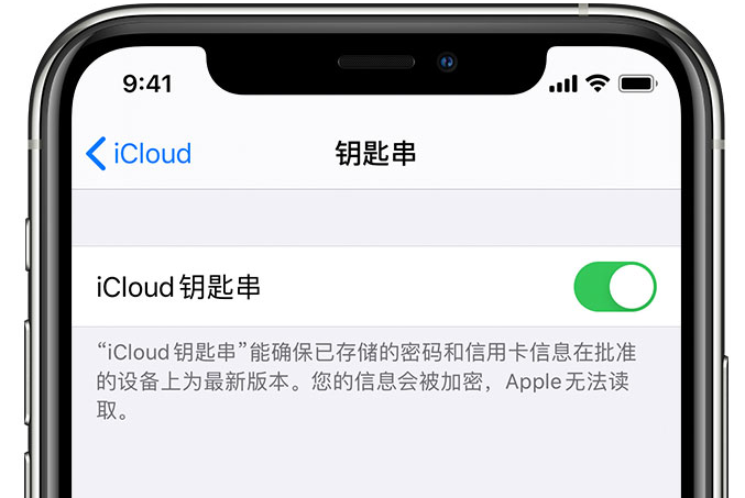 临川苹果手机维修分享在 iPhone 上开启 iCloud 钥匙串之后会储存哪些信息 